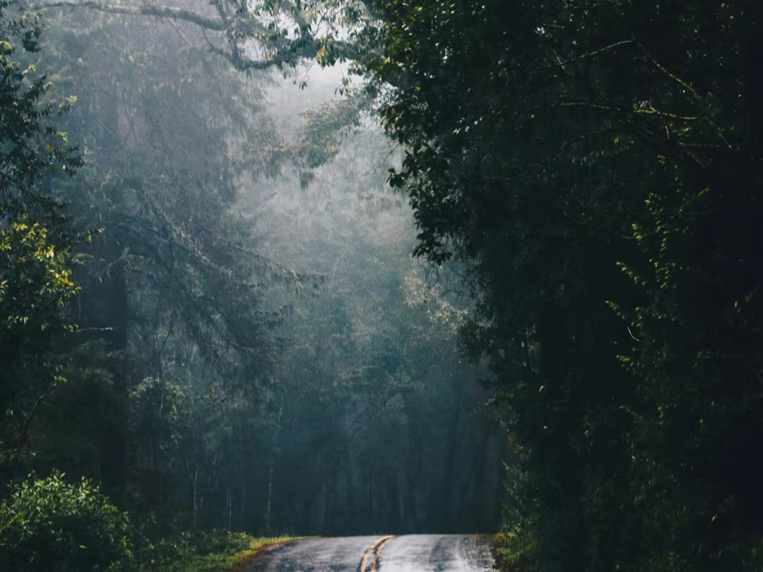 Wie hilft Infrarotheizung gegen Schimmel?